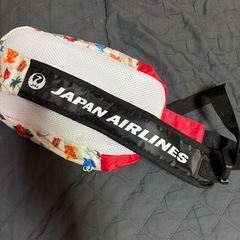✈️JAL ショルダーバッグ💚の画像