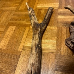 流木4点セットの画像