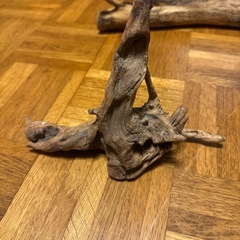 流木4点セットの画像