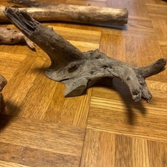 流木4点セットの画像