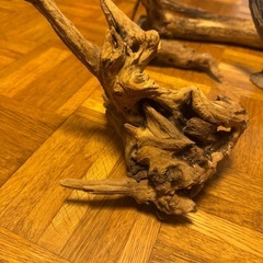 流木4点セットの画像