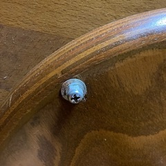 KARIMOKU カリモク 木製円形テーブル天板100cm 丸テーブル サイドテーブル 高さ68cmの画像