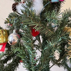 🌲クリスマスツリー🌲の画像
