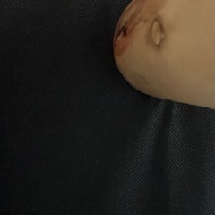 【脚付マットレス】シングルサイズの画像