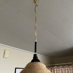 麻　照明の画像