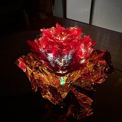 ファイバーポインセチア
の画像