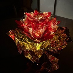 ファイバーポインセチア
の画像