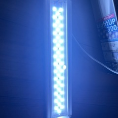 水作　ライトアップ　300 ホワイトの画像