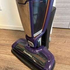 エレクトロラックス　掃除機の画像