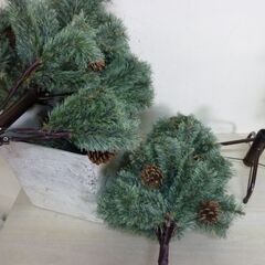 未使用/新品　クリスマス ヌード ツリー 120  ドイツトウヒ ツリー ヌードツリー ポットツリー 松ぼっくりの画像