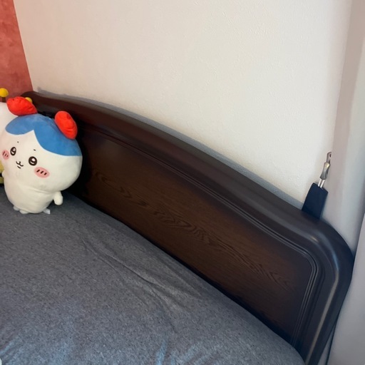 ベット