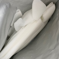 化粧水シートマスク2種類セットの画像