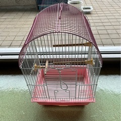 鳥かごお譲りしますの画像