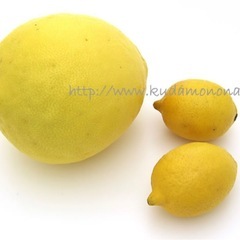 レモン②の画像