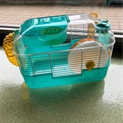 ハムスター飼育ケースの画像