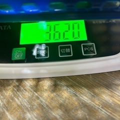 レモン④の画像