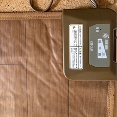 美品★1畳用ホットカーペット★フローリング調★平日昼間に取りにこられる方は無料の画像