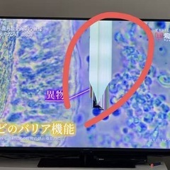 sharp 液晶テレビ4T-C55FN2 2025年式の画像