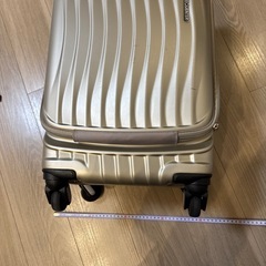 フリクエンタースーツケースの画像