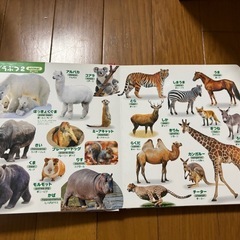 ベビー　絵本　1冊50円〜100円の画像