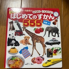 ベビー　絵本　1冊50円〜100円の画像