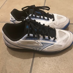 テニスシューズの画像