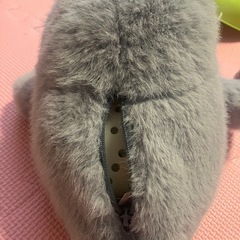 ぶるぶる　あざらしの赤ちゃんの画像