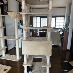 キャットタワー
の画像