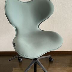 姿勢サポート 椅子 Style Chair SMC（エスエムシー） Style（スタイル） フォレストグリーン YS-BM-11Aの画像