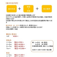 年末のお庭のお手入れ☆綺麗なお庭で新年を迎えましょう
