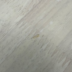 【ドリーム川西店御来店限定】☆ジモティー見たよ♪割引☆ベガコーポレーション　ダイニング3点セット／クリーニング済み【2125560000038711】の画像