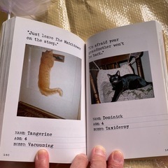 猫用商品の画像