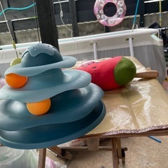 猫用商品の画像