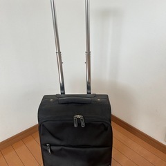 キャリーバッグの画像