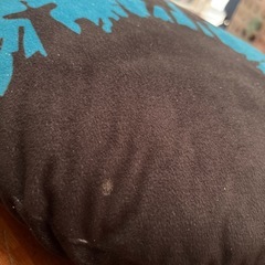クッションの画像