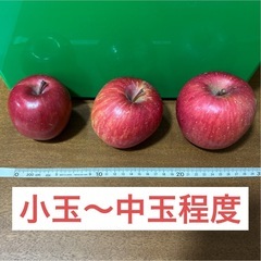 花巻市産ふじ約5kg　11月末収穫　家庭用の画像