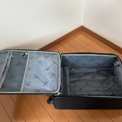 キャリーバッグの画像