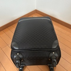 キャリーバッグの画像