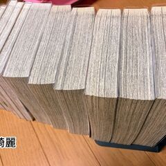 爆走兄弟レッツ＆ゴー（クリアカバー付き）の画像