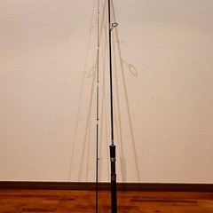 天龍 テンリュウ シーバスロッド SR master 70Lの画像