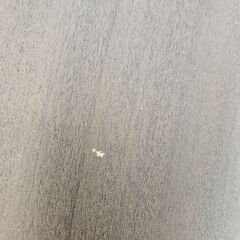 ✨️ジモティー割引✨️【ジャングルジャングル堺初芝店】　現状販売　PCデスク　堺市（東区　西区　北区　南区　堺区　美原区）高石市　泉大津市　忠岡町　和泉市　松原市　大阪狭山市の画像