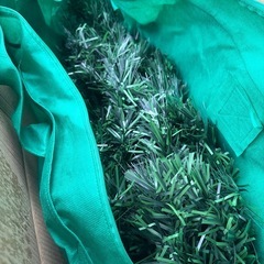 クリスマスツリー　120cmの画像