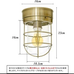 マリンランプの画像
