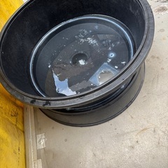 メダカ水槽の画像