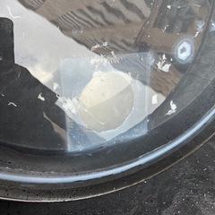 メダカ水槽の画像