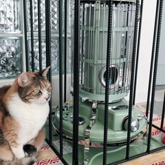 Aladdinストーブ🧞‍♂️里山エンジンさんのストーブガードの画像