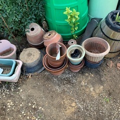 ブロック&植木鉢の画像