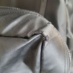 【交渉中】ザノースフェイスのバックパック　差し上げます。取りにきて頂ける方の画像