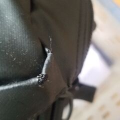 【交渉中】ザノースフェイスのバックパック　差し上げます。取りにきて頂ける方の画像