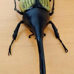 ヘラクレスオオカブト　昆虫　フィギュア　デアゴスティーニ　リアル 　　DeAGOSTINI　カブトムシ　虫　大きい　ヘラクレス　観察　鑑賞の画像